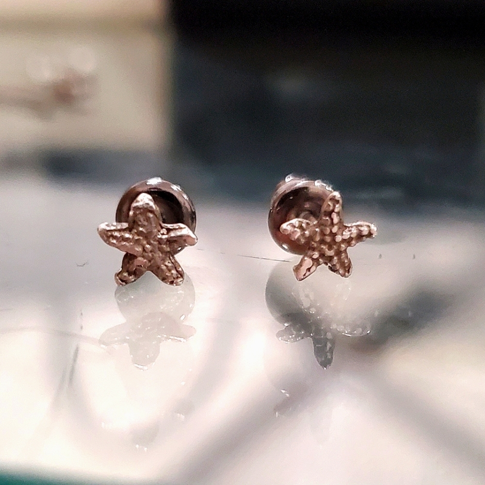 Mini starfish stud earrings sterling silver